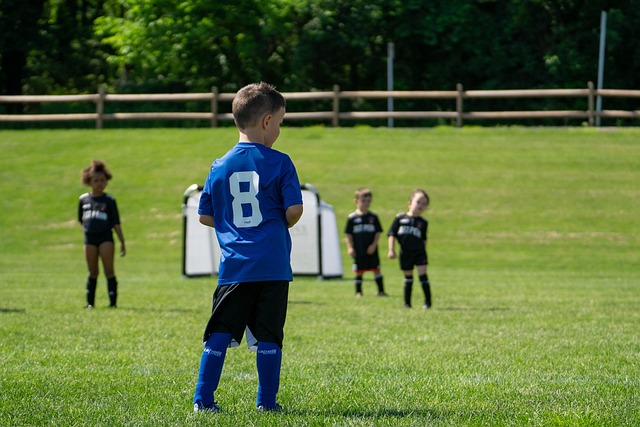 际上强化了 际上强化了