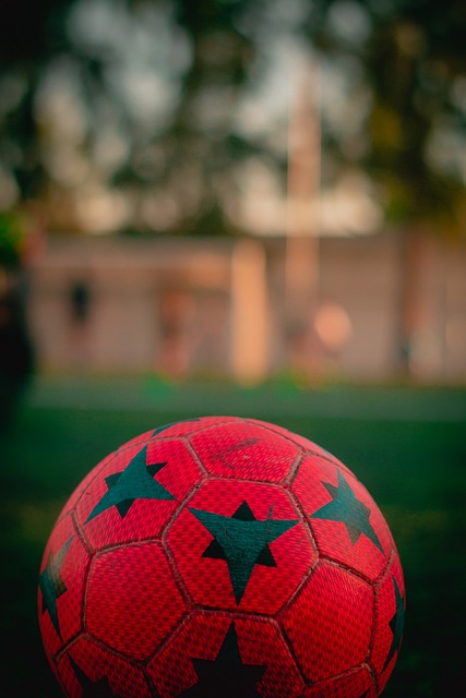 篮球爱好者 篮球爱好者