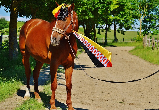 年的法网比 年的法网比