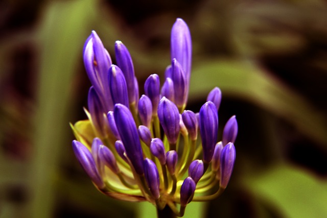 纳乌相连 纳乌相连